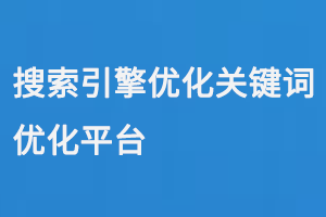 搜索引擎優化關鍵詞優化平臺